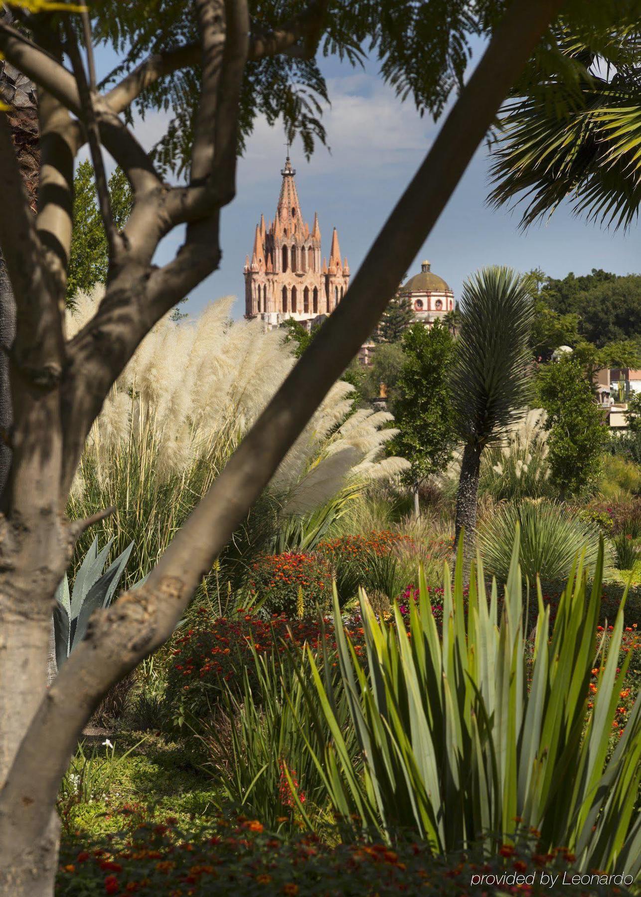 Hotel Rosewood San Miguel San Miguel de Allende Zewnętrze zdjęcie